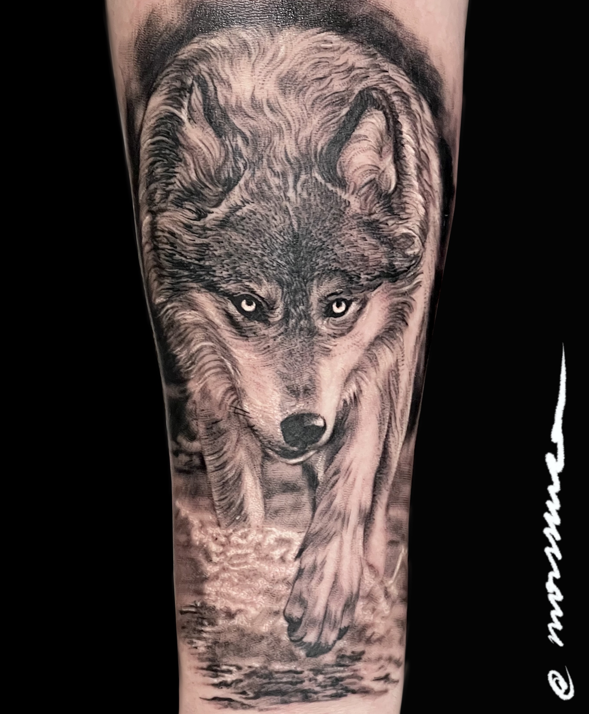 Animals tattoo by Ary Morssuza