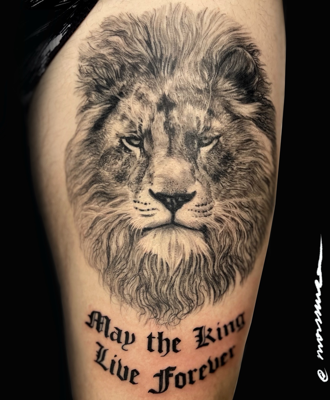 Animals tattoo by Ary Morssuza